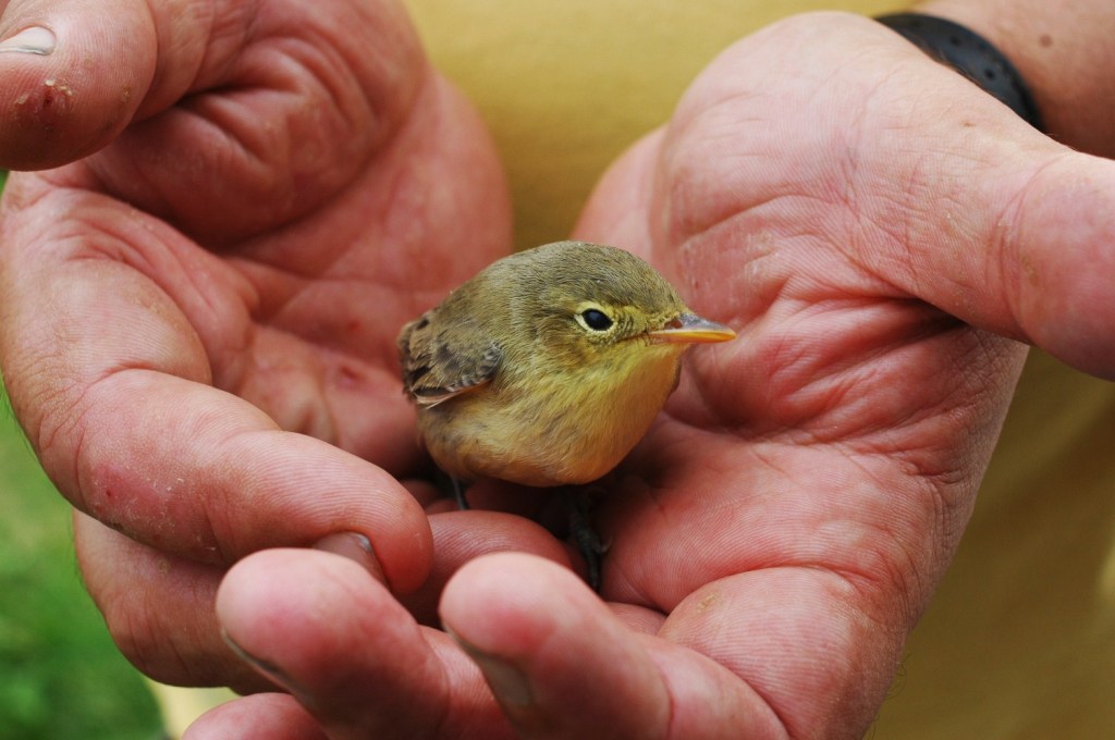 Image via: Orthodox Christian Network