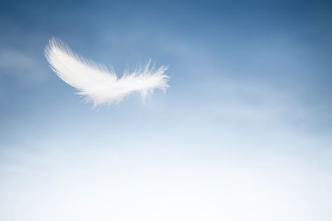 feathercloud-56b78ee05f9b5829f83a019d