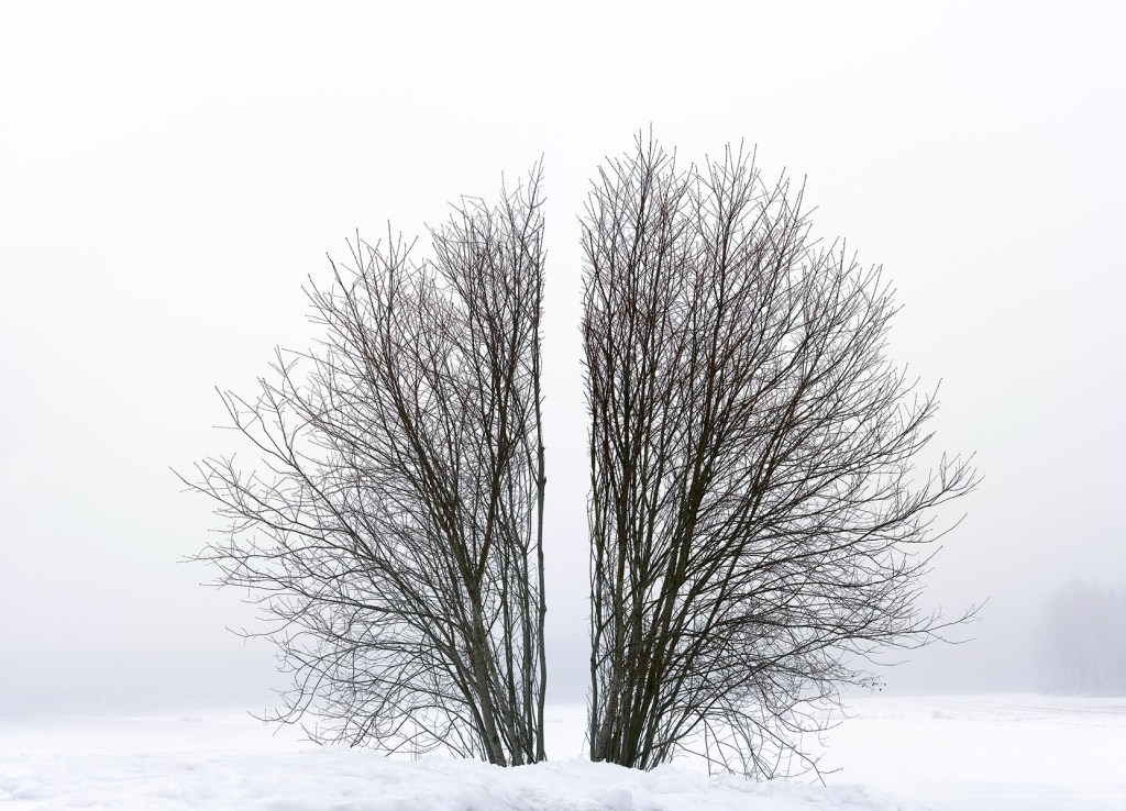 Image via: Antti Laitinen