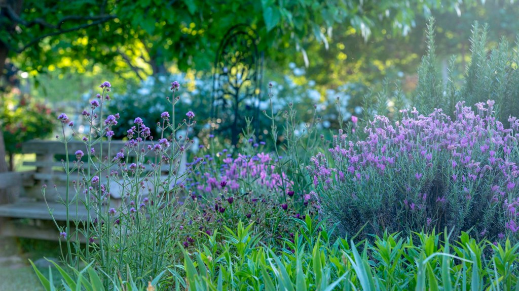 Image via: Gardens for Goldens