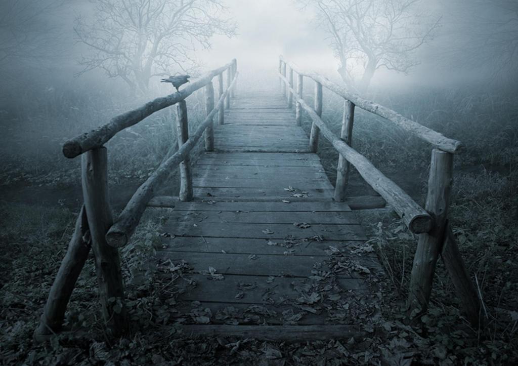 Image via: Wallpaper Cave